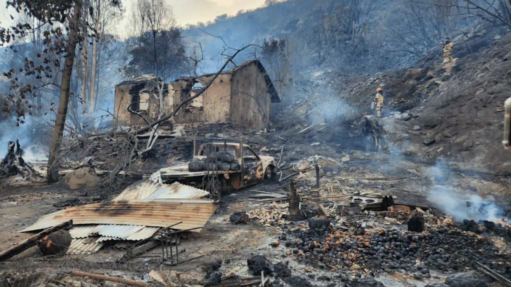 Región de O’Higgins: 73 viviendas destruidas y más de 8.800 hectáreas consumidas por los incendios forestales