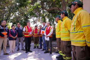 Ministro Valenzuela informó que gran parte de incendios que afectan a la región de O´Higgins están contenidos