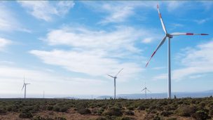 Día Mundial de la Energía: Fuentes limpias para el bienestar del hogar