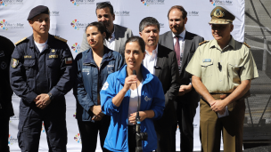 Autoridades se refieren a la seguridad del Festival de Viña del Mar: 