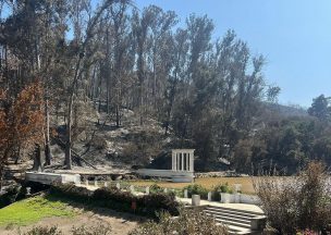 Jardín Botánico reabrirá parcialmente dentro de dos semanas