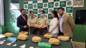 La mayor incautación en la historia de Ñuble: Carabineros decomisó 149 kilos de marihuana y detuvo a organización criminal