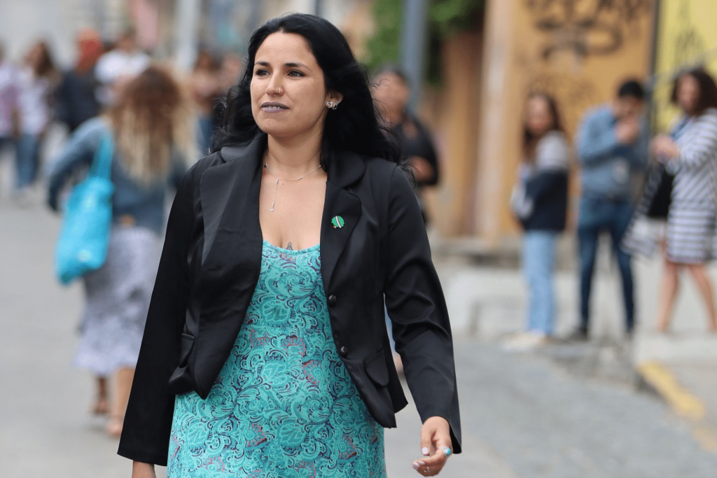 Delegada de Valparaíso por intencionalidad de incendios: “Quien debe pronunciarse es el Ministerio Público con la PDI”