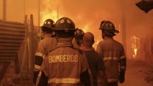 Bomberos de Viña del Mar dan por superada la emergencia forestal iniciada el 2 de febrero