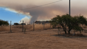 Incendio forestal en La Estrella: Senapred ordena evacuar sector de Pihuelo