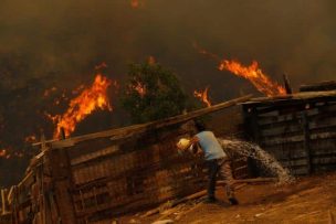 Región de Valparaíso: Informe UC reveló el impacto económico de los incendios