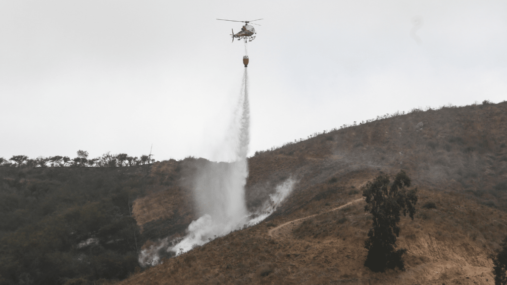 Alerta Roja para Monte Patria por incendio forestal: “Se desarrolla cercano a sectores habitados”