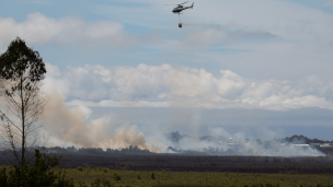 Amur hace llamado a aprobar proyecto que regula la prevención de incendios forestales y rurales