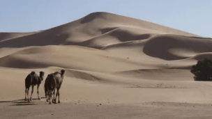 Descifran el misterio de las dunas más grandes de la Tierra