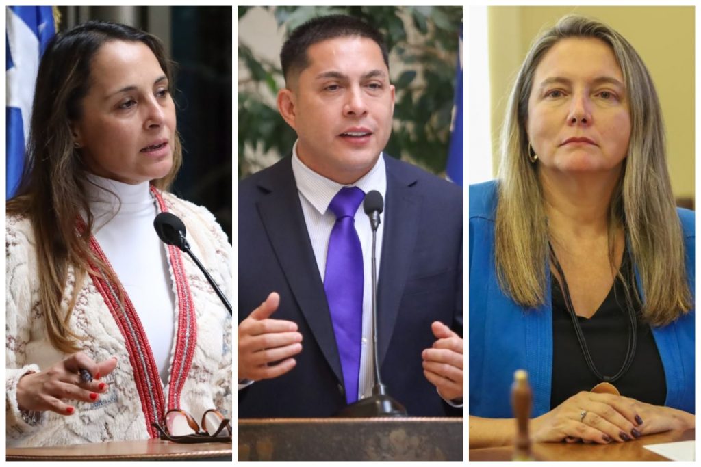 Diputados de oposición valoran promulgación de nueva Ley de Seguridad Privada