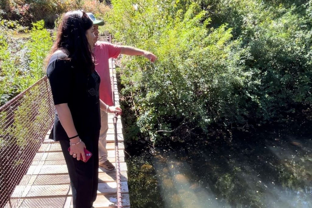 Estero Mininco: Diputada Karen Medina enviará oficio a la Seremi de Medio Ambiente ante posible contaminación del agua