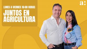 Juntos En Agricultura Lunes 28 Octubre 2024.