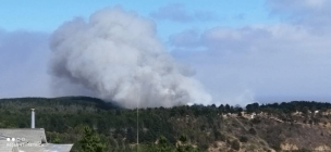 Incendio forestal afecta el sector de Laguna Verde en Valparaíso