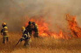 Alerta Roja para la comuna de Tirúa por incendio forestal