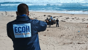 Coquimbo: PDI investiga hallazgo de un cadáver en el sector Playa Amarilla de Los Vilos