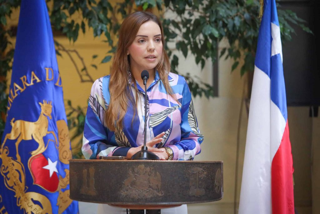 Taxistas y posible paro en Región de Valparaíso: Diputada Camila Flores denuncia incumplimiento de plazos por parte de la Seremi de Transporte