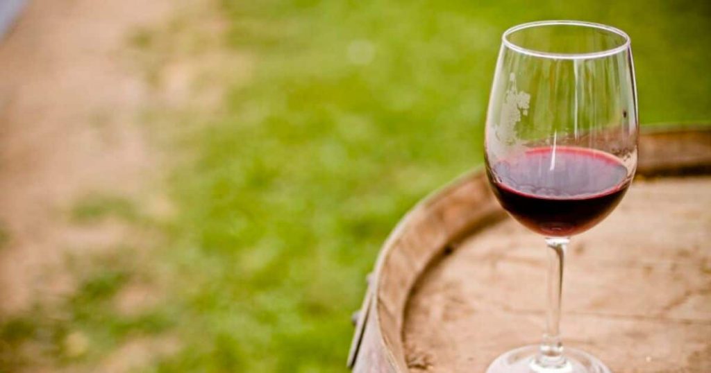 Fiesta de la Vendimia del Valle del Maipo 2024: Así puedes conseguir entradas gratis