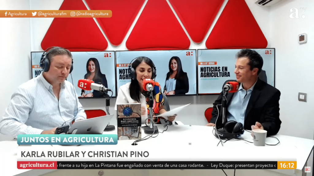 Lucas Palacios "Economía bajo amenaza: Gestión ministerial en tiempos de crisis" de Lucas Palacios.