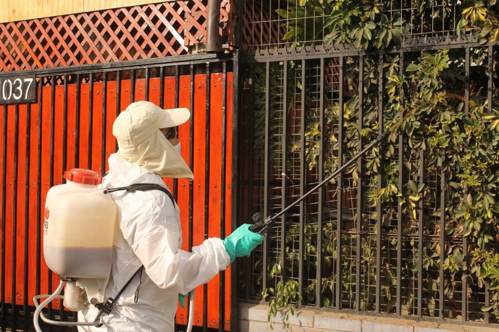 SAG - erradicación de la mosca de la fruta