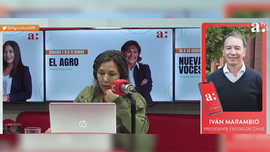 Frutas de Chile y paro de trabajadores portuarios: “La mayor afectación es de la imagen de Chile, eso es lo preocupante”