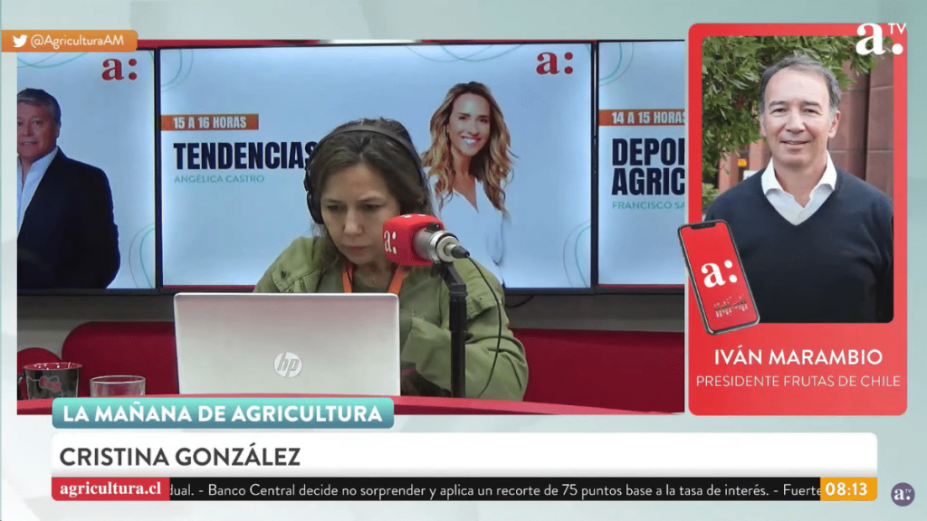 Frutas de Chile El presidente de gremio de exportadores sostuvo que "la mayor afectación es de la imagen de Chile, eso es lo preocupante".