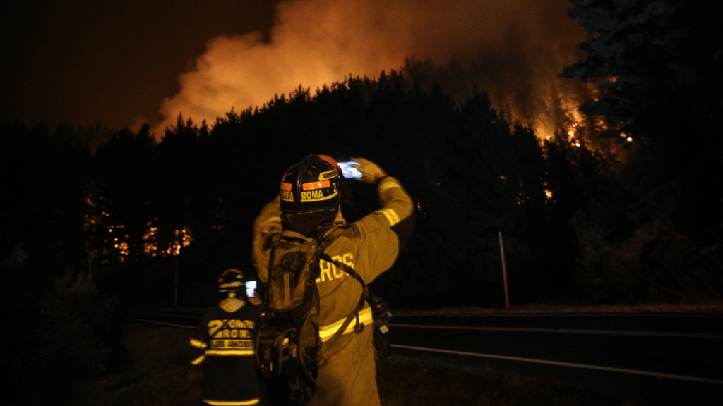 SENAPRED declara Alerta Roja en Carahue por incendio forestal 