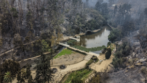 Jardín Botánico de Viña del Mar anuncia que reabrirá sus puertas los sábados y domingos