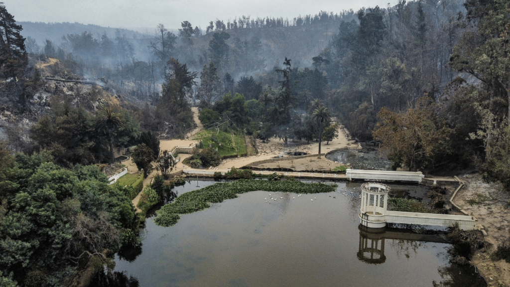 Jardín Botánico Vista de Drone de Incendios forestales en Jardín Botánico Nacional ubicado en Viña del Mar.