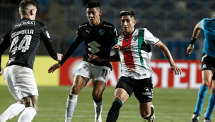 Viaja a Coquimbo: Palestino será local en el Sánchez Rumoroso por Copa Libertadores