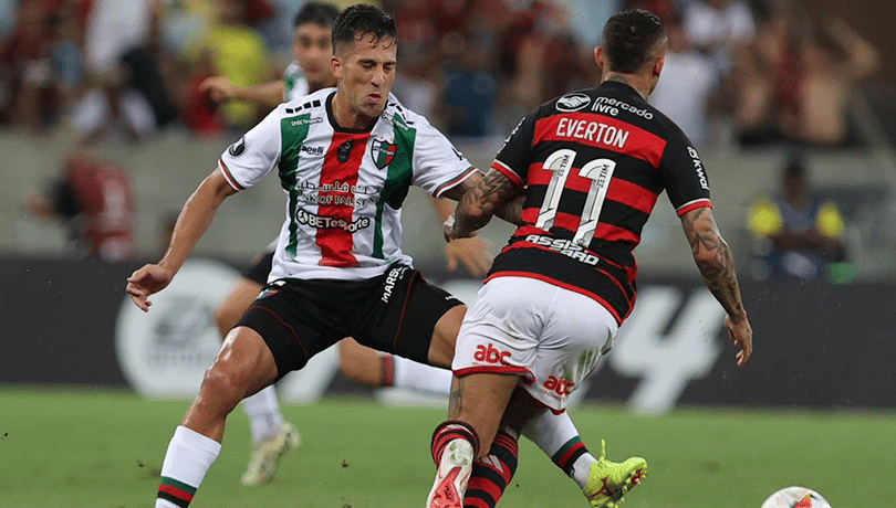 Palestino y Cobresal caen en su visita a Brasil por la Copa Libertadores