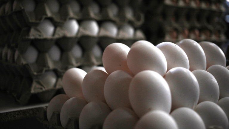Huevos 