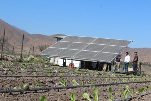 Desarrollo sostenible de la fruticultura de la Región de Valparaíso: Sistemas fotovoltaicos y riego presurizado