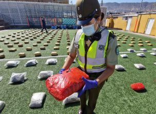 Carabineros interceptó cinco mil millones de pesos en droga en la Ruta 5 Norte