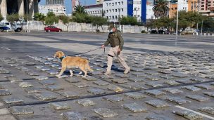 Carabineros incautó dos toneladas de marihuana en Antofagasta