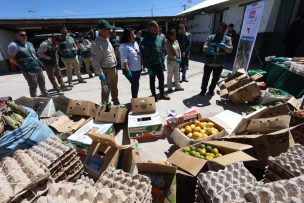 SAG decomisa 13 mil huevos y 15 toneladas de productos agropecuarios