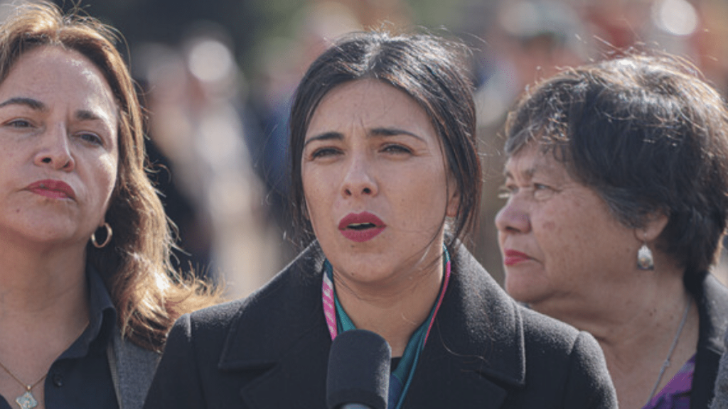 Cámara suspendió la semana distrital, tras asesinato de carabineros. La presidenta de la corporación, Karol Cariola, informó que se discutirán proyectos de ley relaitvos a seguridad.