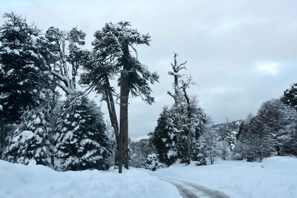 “Hasta 30 milímetros en el centro”: El pronóstico de lluvia para la RM que viene acompañado de nieve