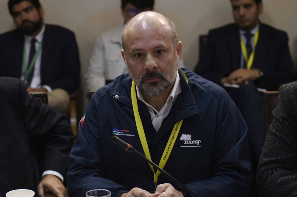Conaf y exbrigadista formalizado por megaincendio: “Enloda la institución”