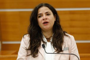 Diputadas instan a ministra Orellana a tomar medidas tras nuevo femicidio y alza de casos