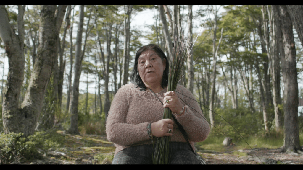 pueblo Kawésqar El Centro Cultural de Las Condes exhibirá este fin de semana un documental sobre el Pueblo Kawésqar.
