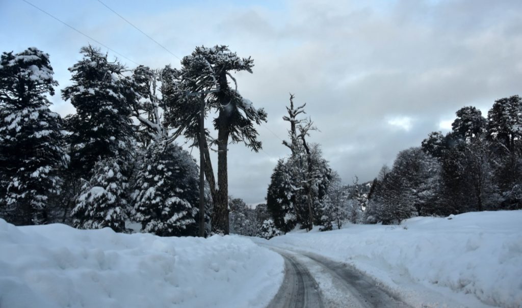 Dirección Meteorológica emite aviso por “probables nevadas” en tres regiones