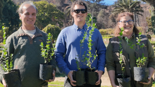 Jardín Botánico de Viña del Mar recibió donación de 2.000 árboles nativos