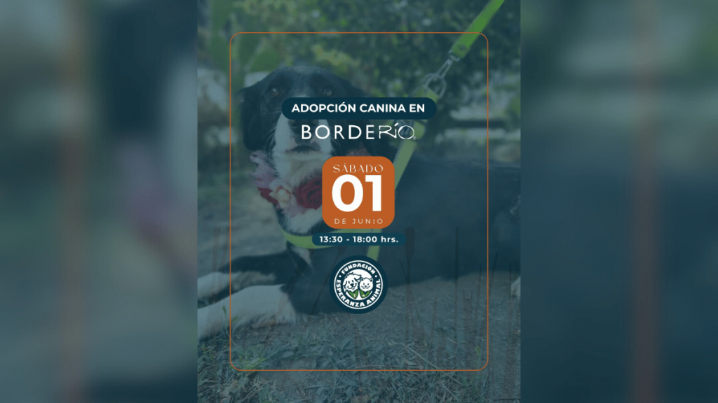 adopción canina El sábado 1 de junio será la primera jornada de adopción canina en este espacio.