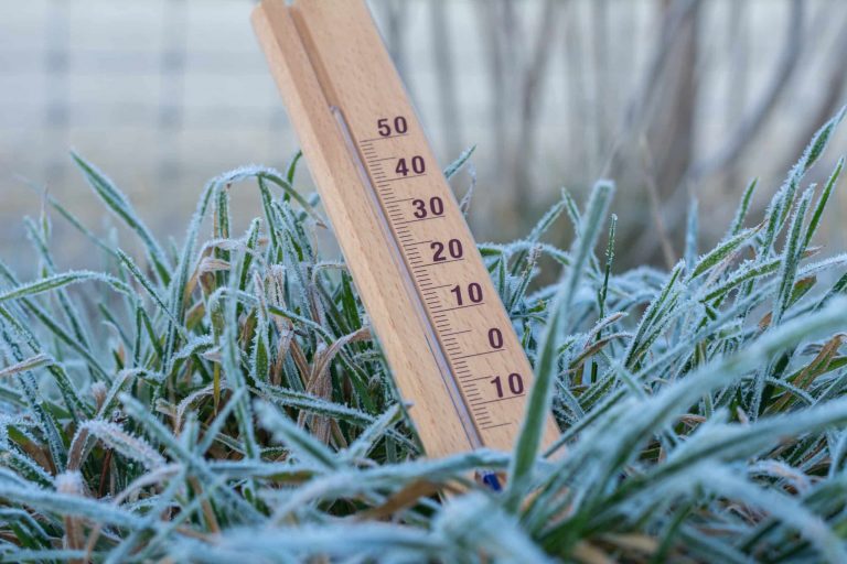 Temperaturas de hasta -19 °C: Senapred declara Alerta Amarilla en Aysén y la Provincia de Palena