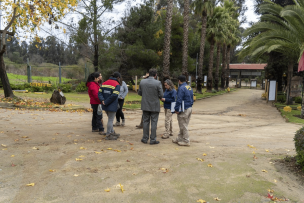 Perros salvajes matan a 23 animales tras ingresar al zoológico municipal de Quilpué