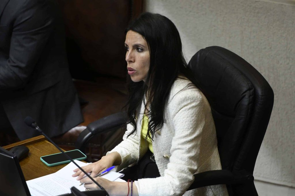 Senadora Gatica por fábrica de armas en Panguipulli: “Aquí el Gobierno debe asumir su responsabilidad”