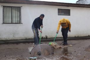 Sistema frontal en el Biobío: Más de 150 viviendas dañadas y 138 mil clientes sin electricidad