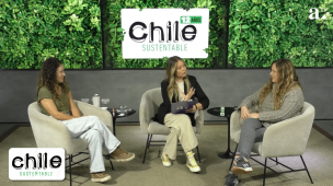 Chile Sustentable y Oh! Seeds el eco-emprendimiento que se toma el marketing en empresas: 