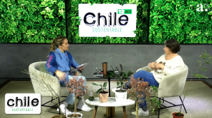 Chile Sustentable y Plantiquería: El emprendimiento que nació del amor hacia las plantas