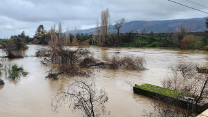 Declaran emergencia agrícola en la región de La Araucanía